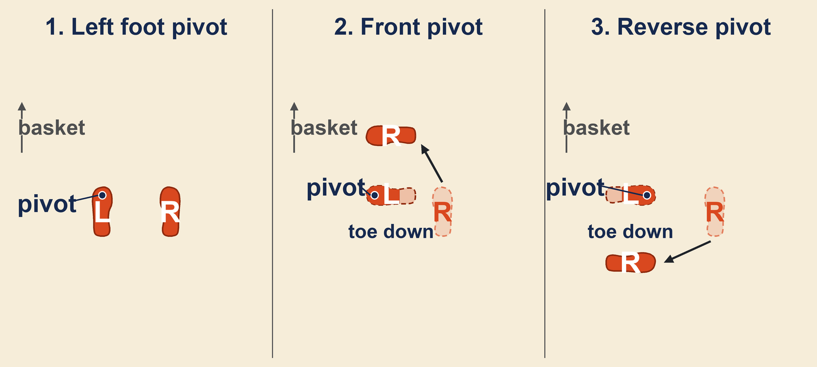Pivot basketball front pivot and reverse pivot from above on a left foot pivot, the right foot stepping forward around the pivot or swinging backward
