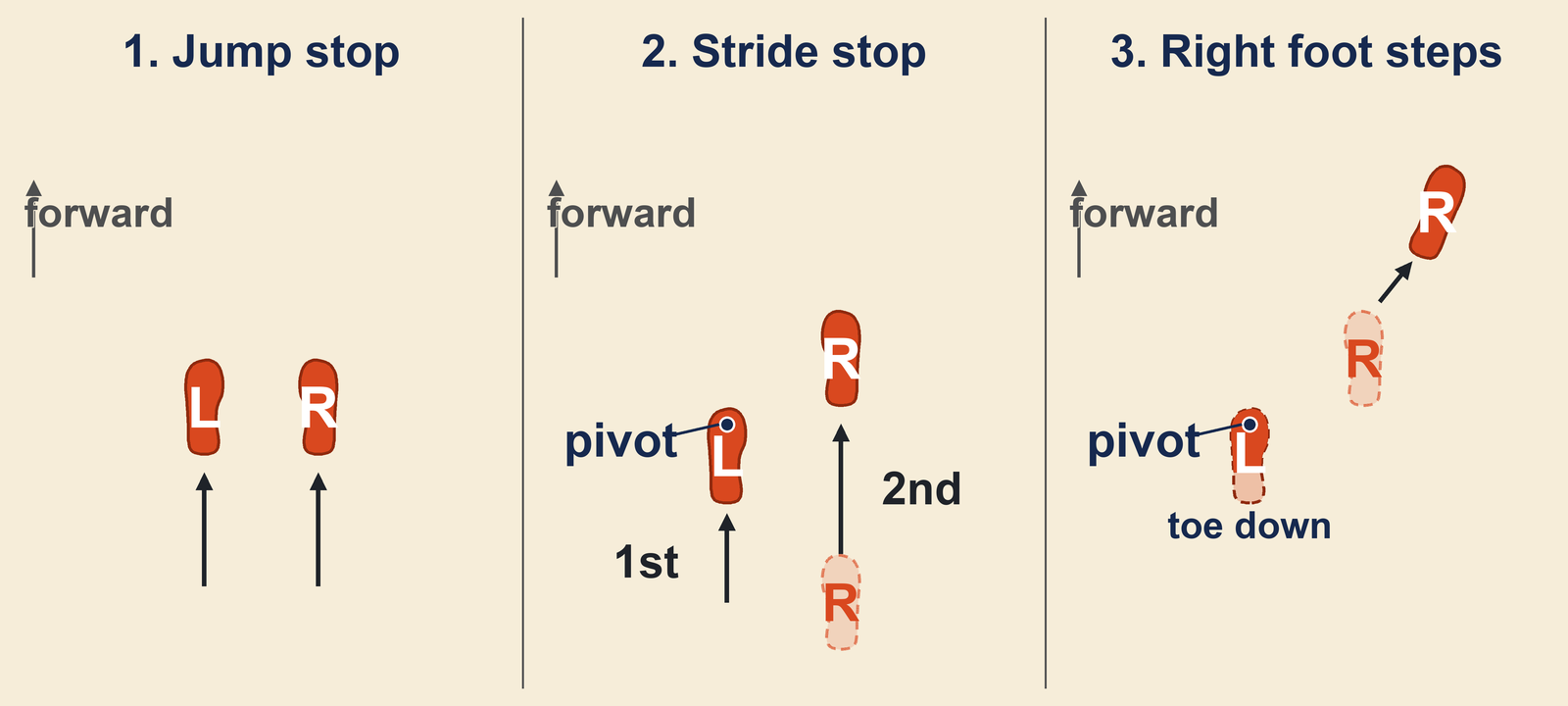 Pivot basketball footwork from above, a jump stop where either foot may be the pivot, a stride stop where the first foot down is the pivot, and the right foot stepping while the left foot stays