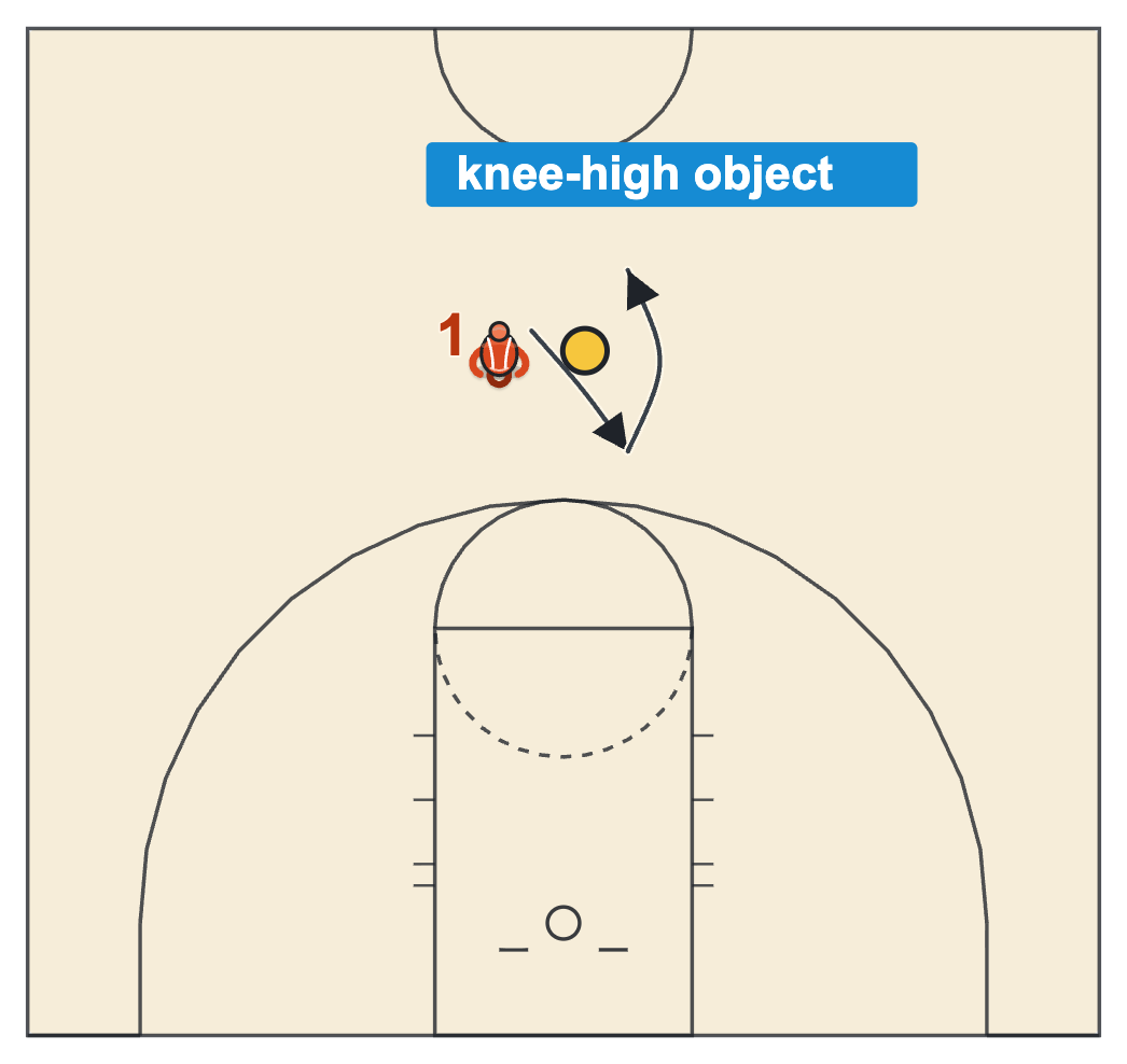 Step-over screen diagram: one foot lifted over a knee-high object and touched down in front, then behind