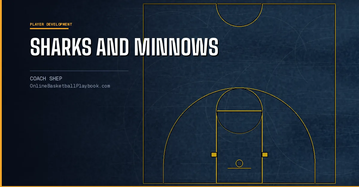 Sharks and Minnows: The Basketball Dribbling Game