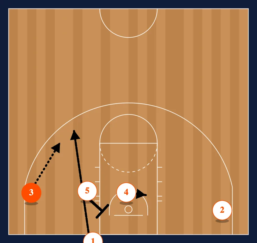 Hoya step 3