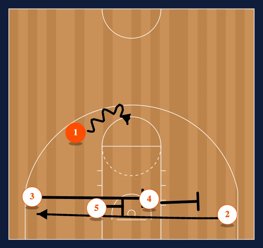 Hoya step 4
