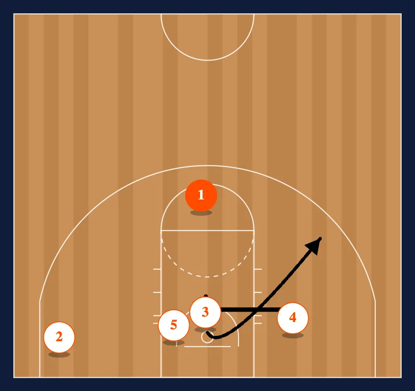 Hoya step 5